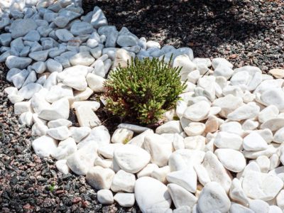 Odmiany kamienia do dekoracji ogrodów - przegląd cen i zastosowań żwiru, grysów, kory kamiennej, otoczków oraz głazów