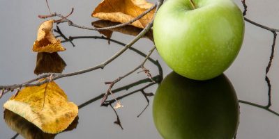 Ochrona jabłoni przed agresorami – metody walki z najczęstszymi szkodnikami